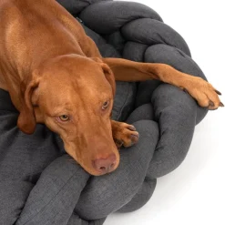 Modern Living hundeseng Durban