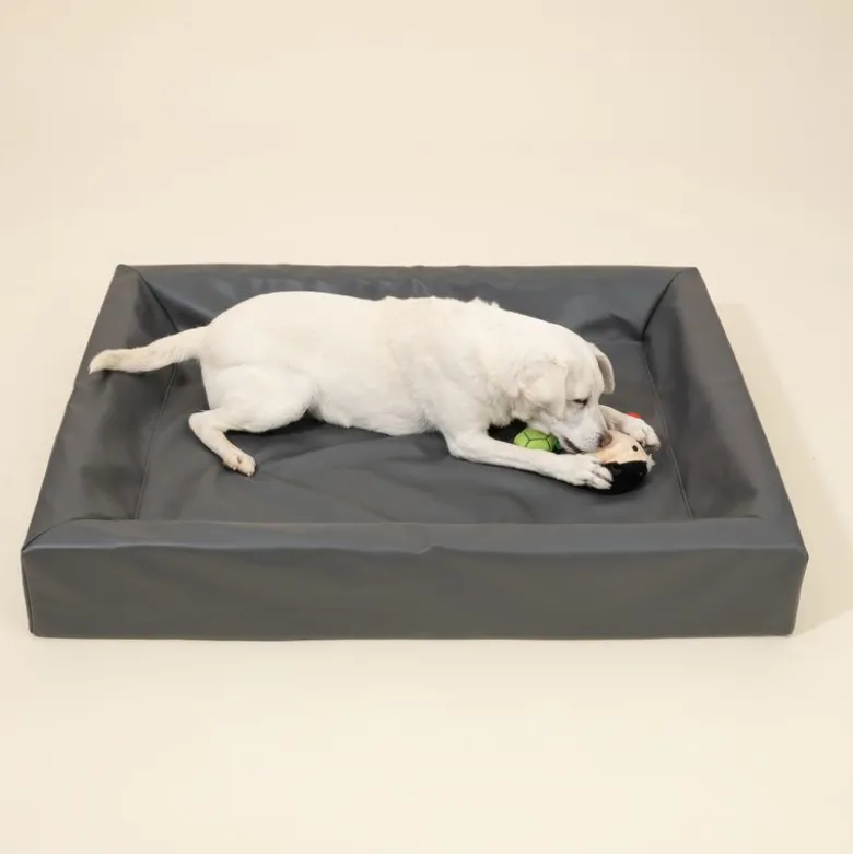 Modern Living Hundeseng Granit