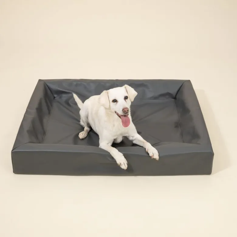 Modern Living Hundeseng Granit