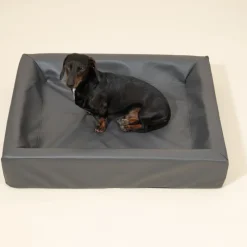 Modern Living Hundeseng Granit