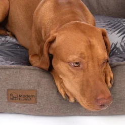 Modern Living hundeseng Ibiza
