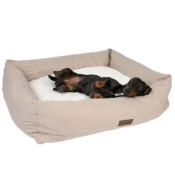 Modern Living hundeseng Muscat