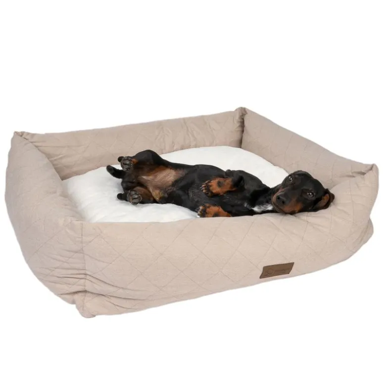 Modern Living hundeseng Muscat