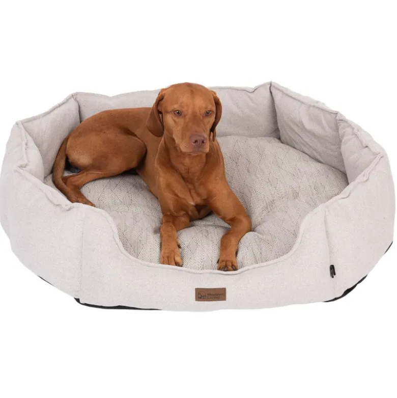 Modern Living hundeseng Phoenix