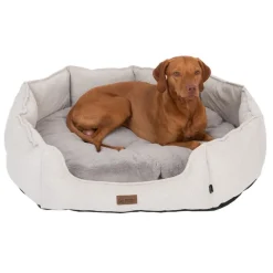 Modern Living hundeseng Phoenix