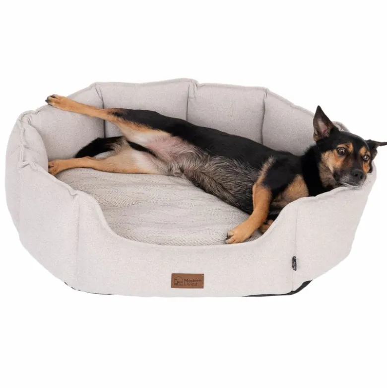 Modern Living hundeseng Phoenix