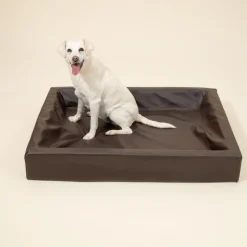 Modern Living Hundeseng Tabac