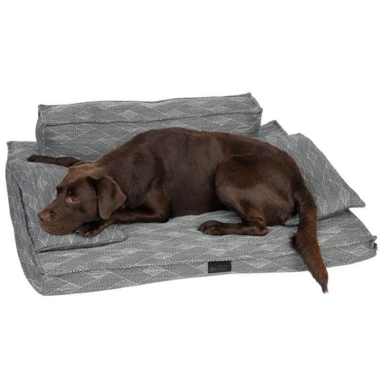 Modern Living hundesofa Kingman