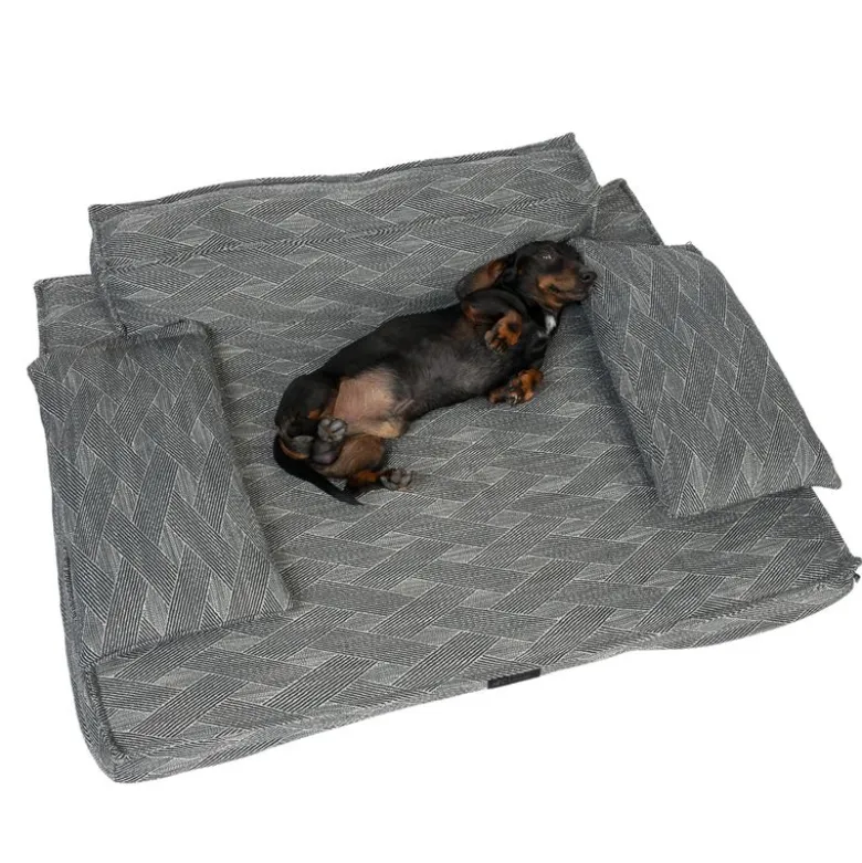 Modern Living hundesofa Kingman