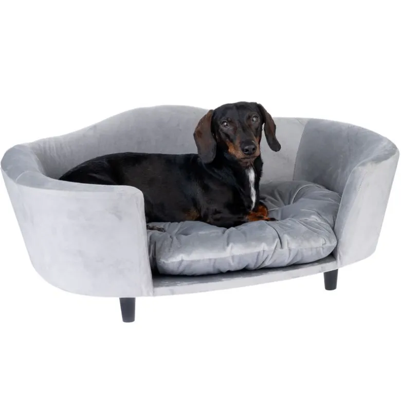 Modern Living hundesofa Nashville