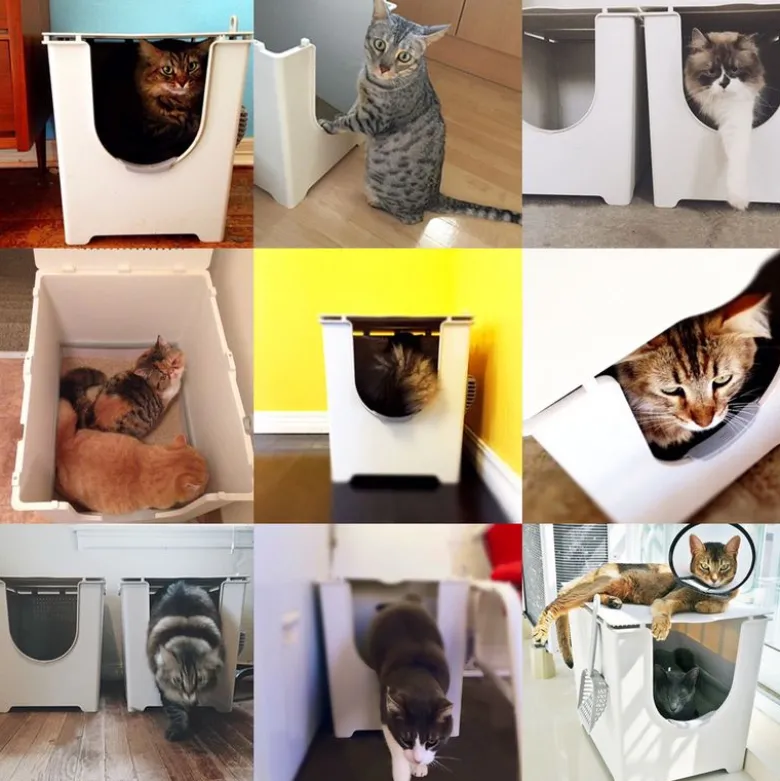 Modkat Flip kattetoilet