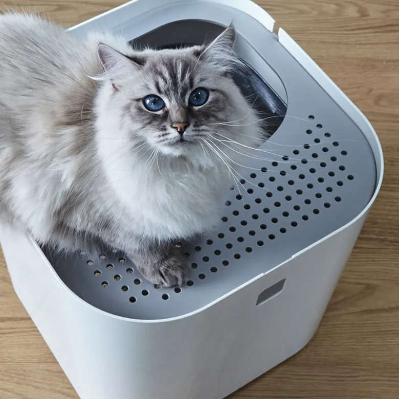 Modkat kattetoilet