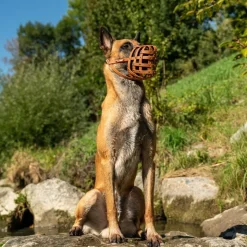 Mundkurv, COLORI® 2.0 Muzzle Schæferhund, M, lysebrun