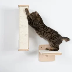 Natural Paradise kradsetræ Dahlia
