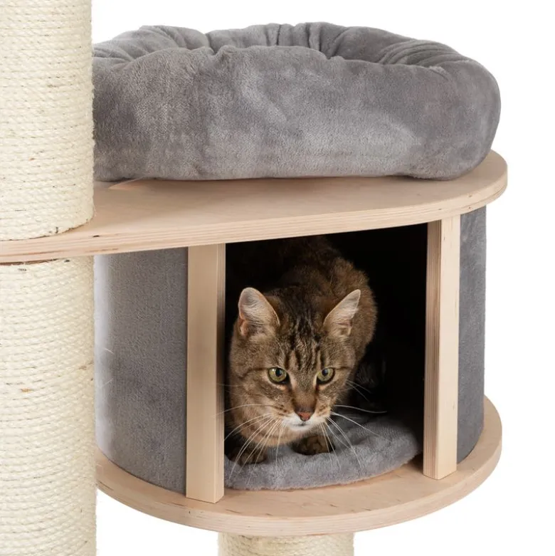 Natural Paradise Magnolia XL