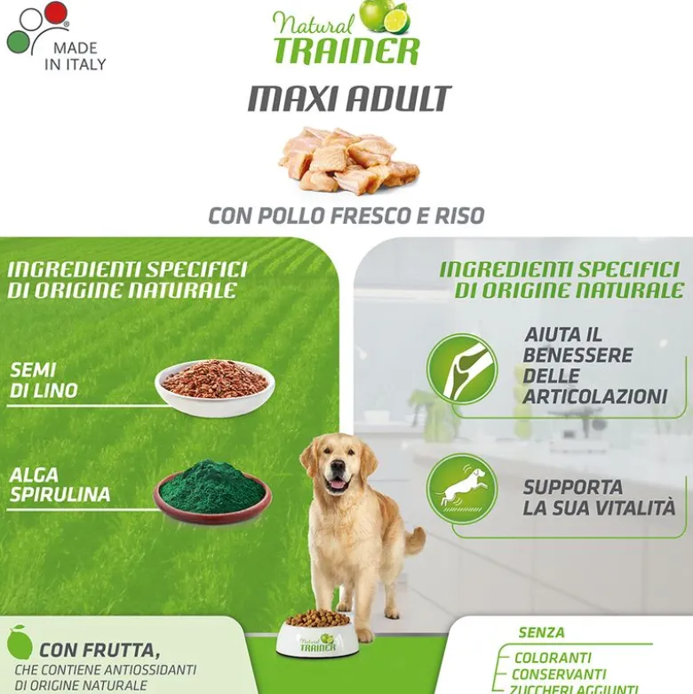 Natural Trainer Maxi Kylling, Ris, Aloe vera