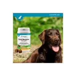NaturVet Quiet Moments Snacks
