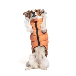 Nomad Tales Bloom hundefrakke puffer, orange/beige