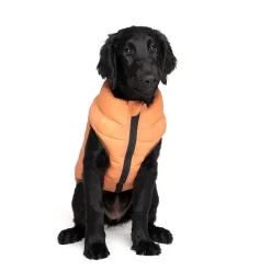 Nomad Tales Bloom hundefrakke puffer, orange/beige