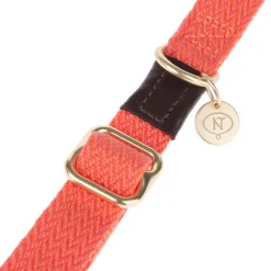Nomad Tales Bloom Line, Coral