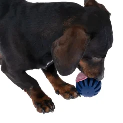 Nomad Tales Bloom Snack-Ball