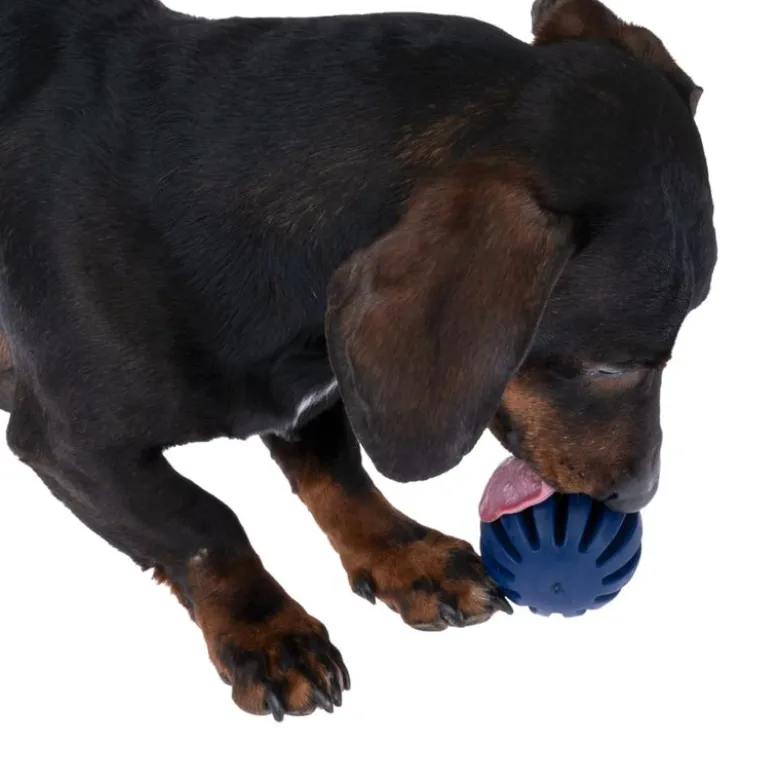 Nomad Tales Bloom Snack-Ball