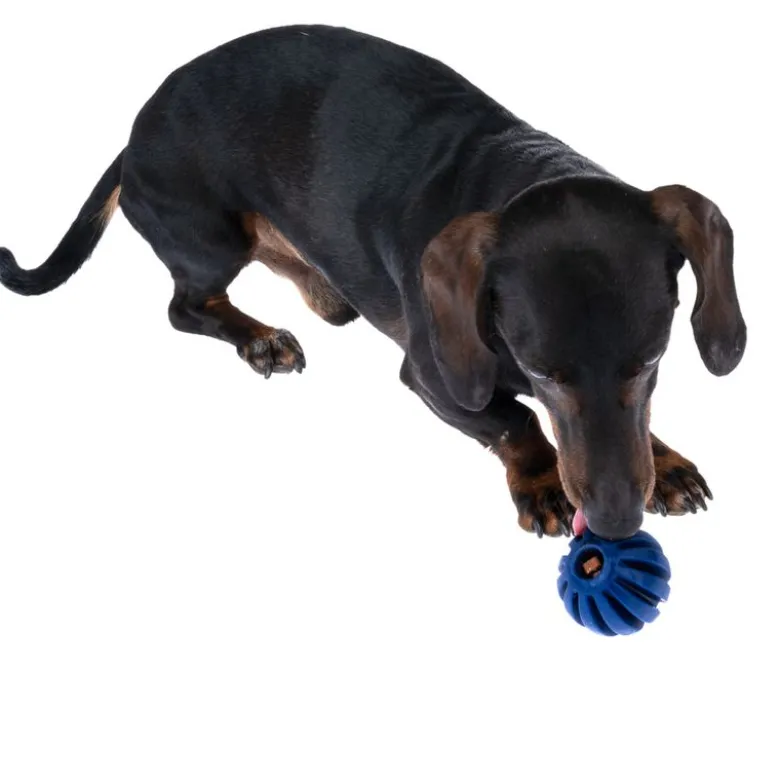 Nomad Tales Bloom Snack-Ball