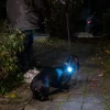Nomad Tales Bloom USB-vedhæng High Light