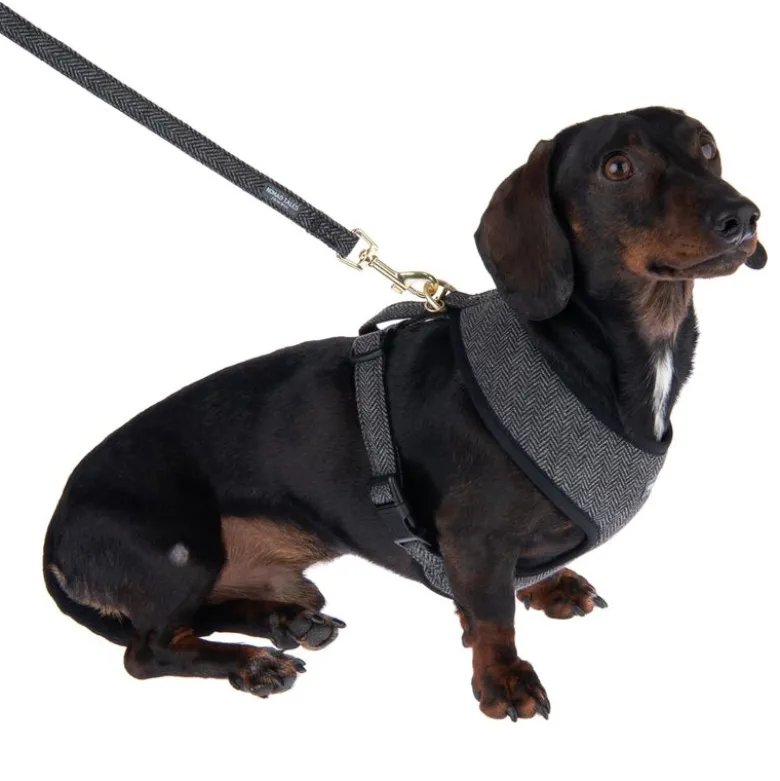 Nomad Tales Calma Line, ebony