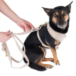 Nomad Tales Calma Line, sand
