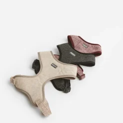 Nomad Tales Calma Sele, ebony