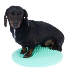 Nomad Tales Spirit balancerende disk