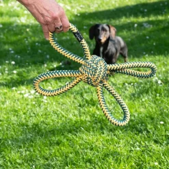 Nomad Tales Spirit Flyvende Rebkugle