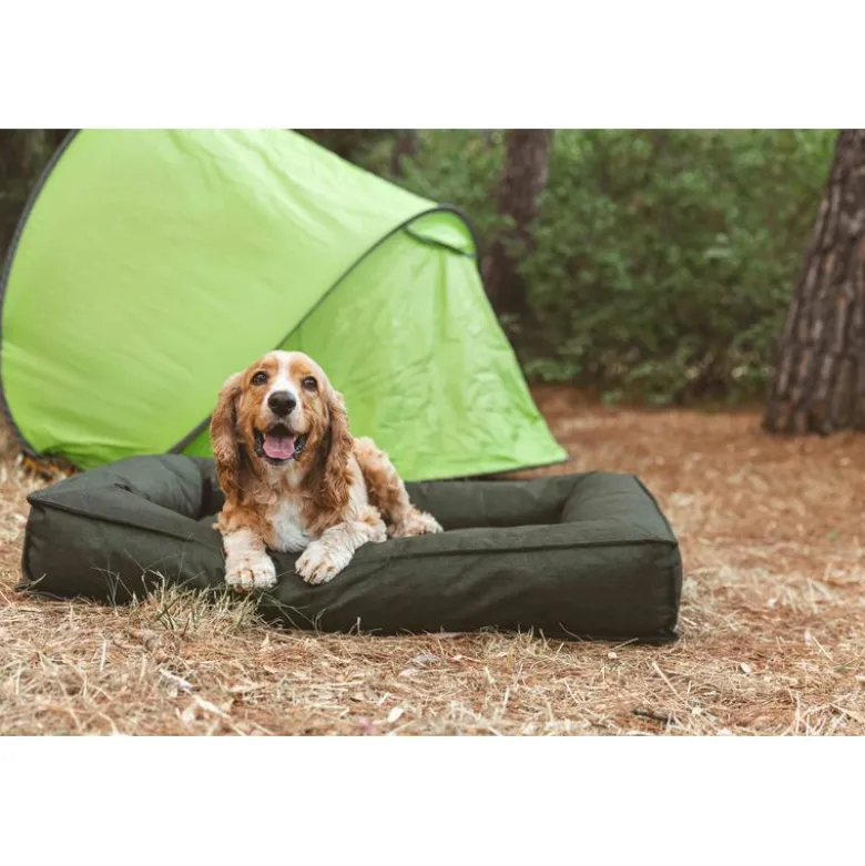 Nomad Tales Spirit Forest Night udendørs hundeseng