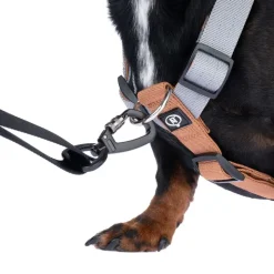 Nomad Tales Spirit justerbar hundesnor