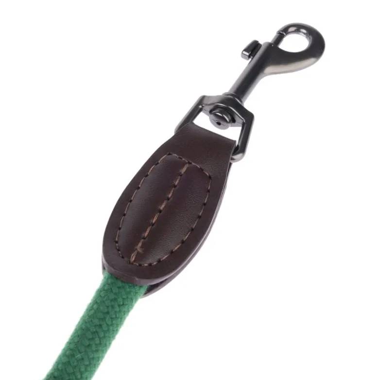 Nomad Tales Spirit Line, pine