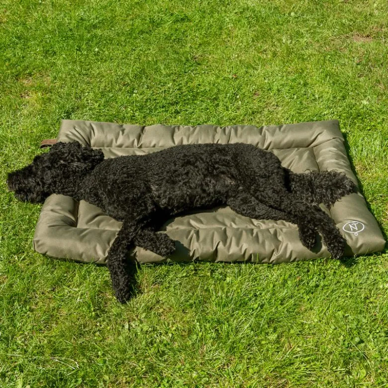 Nomad Tales Spirit Outdoor hundepude Pine
