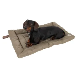 Nomad Tales Spirit Outdoor hundepude Pine
