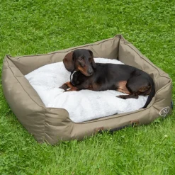 Nomad Tales Spirit Outdoor hundeseng Pine