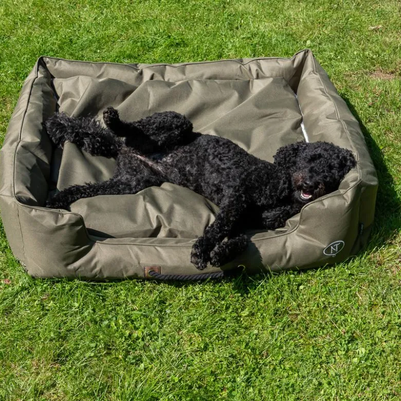 Nomad Tales Spirit Outdoor hundeseng Pine