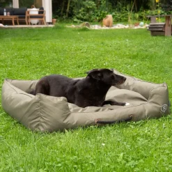 Nomad Tales Spirit Outdoor hundeseng Pine