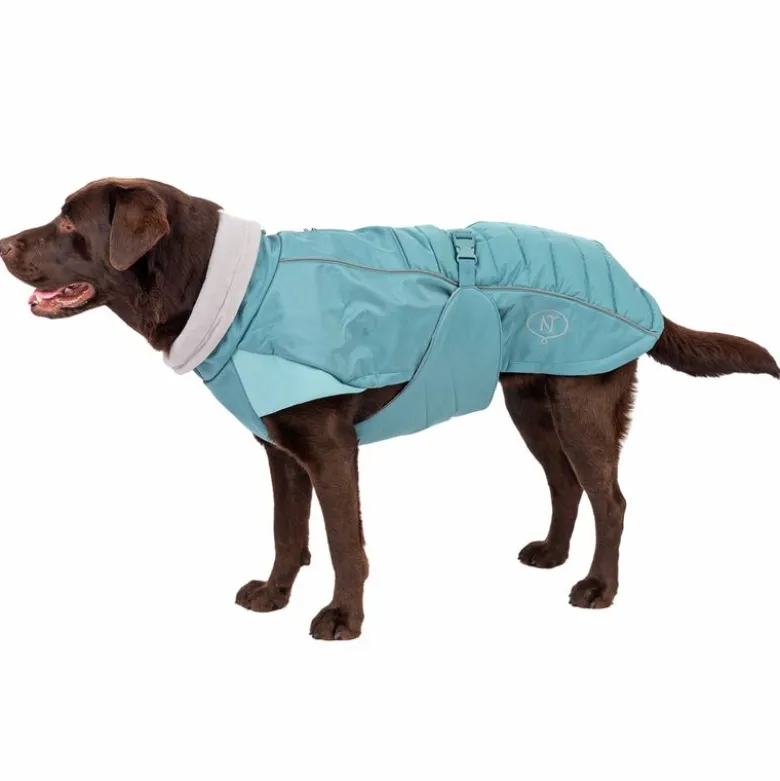 Nomad Tales Spirit Softshell-hundefrakke Pacific