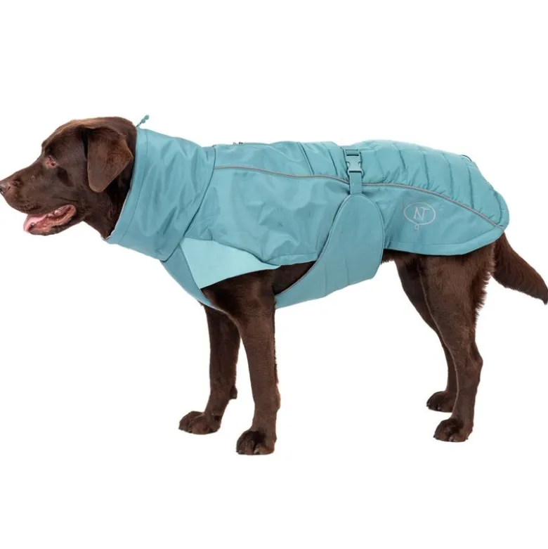 Nomad Tales Spirit Softshell-hundefrakke Pacific