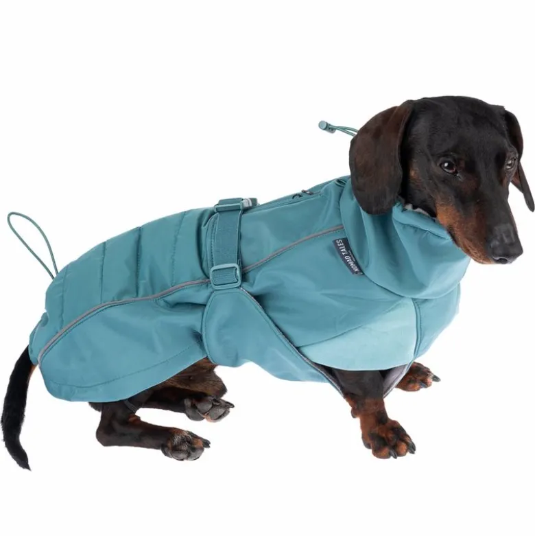 Nomad Tales Spirit Softshell-hundefrakke Pacific