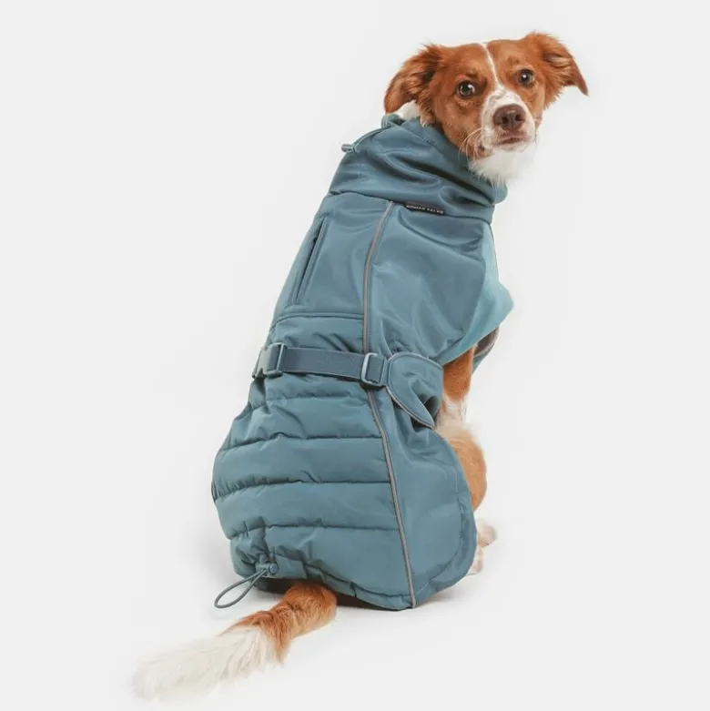 Nomad Tales Spirit Softshell-hundefrakke Pacific