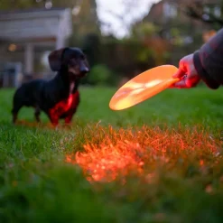 Nomad Tales Spirit USB LED Frisbee