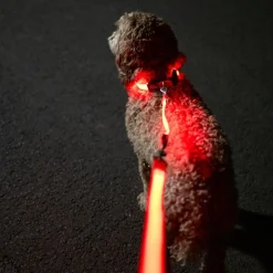 Nomad Tales Spirit USB LED joggingsnor orange