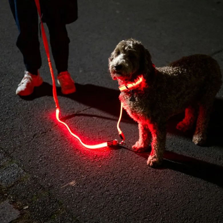 Nomad Tales Spirit USB LED joggingsnor orange