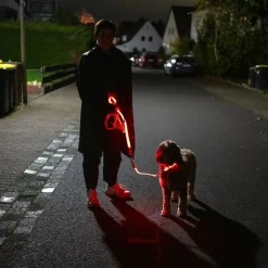 Nomad Tales Spirit USB LED joggingsnor orange