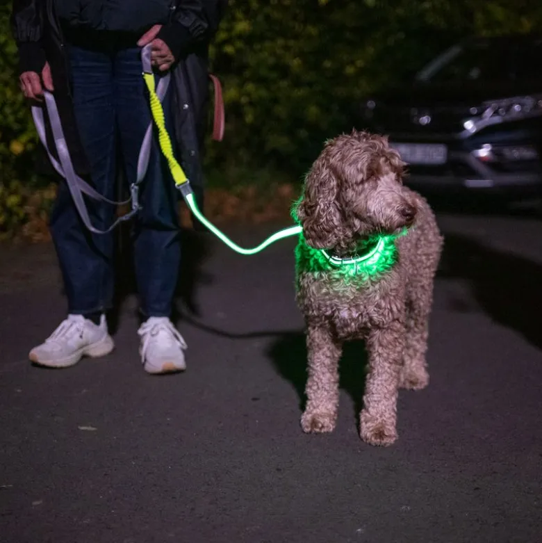 Nomad Tales Spirit USB LED joggingsnor neongul & grå